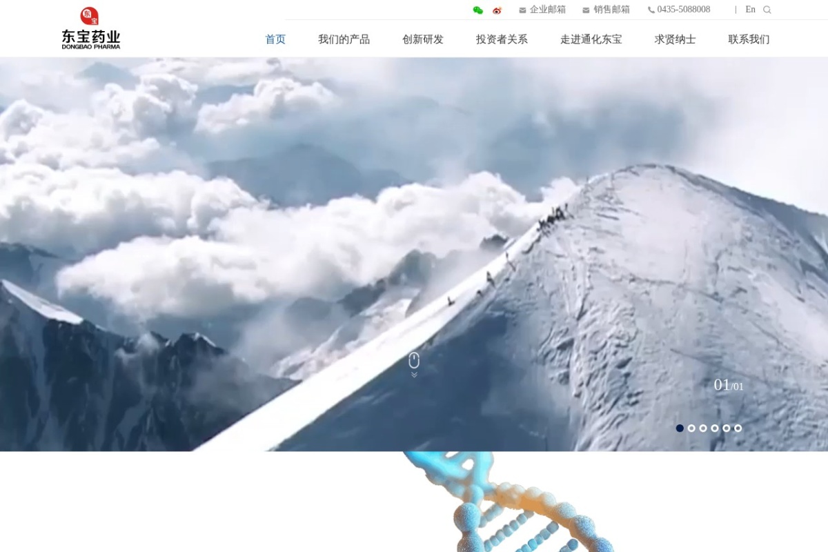通化东宝药业