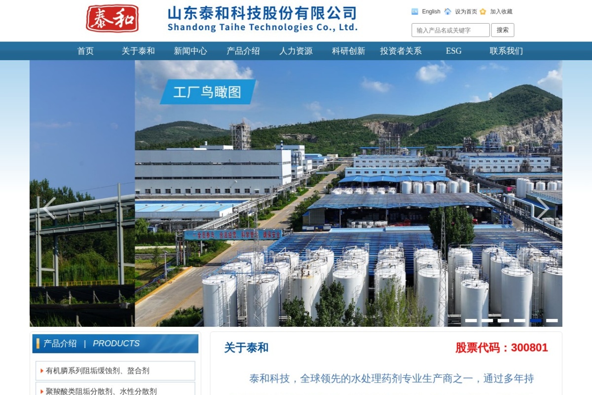 山东泰和股份