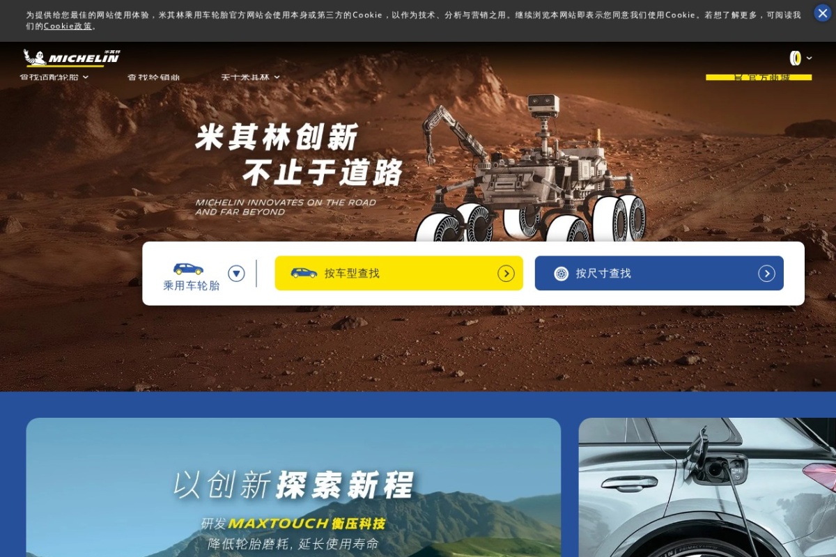 米其林(Michelin)中国